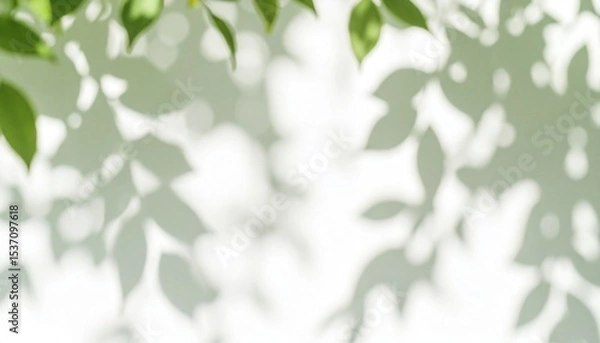 Obraz Shadow Play of Leaves Against a Bright Wall in a Serene Outdoor Setting During Daylight Hours