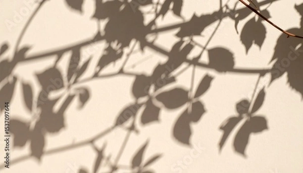 Obraz Delicate Shadows of Leaves Cast on a Simple Wall During the Afternoon Light in a Serene Garden Setting
