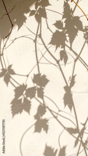 Obraz Beautiful Shadows of Vine Leaves Cast Against a Light-Colored Wall in a Serene Outdoor Setting During the Afternoon