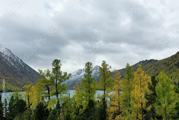 Fototapeta drone view of the autumn landscape of the Altai mountains, a beautiful view from above of nature, river and mountains