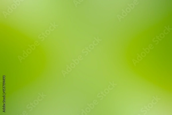 Fototapeta green gradient background / abstract blurry fresh green background
