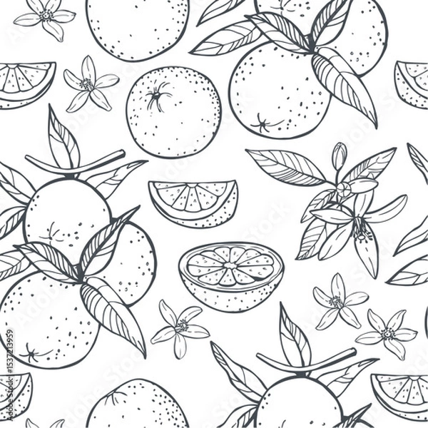Obraz Hand-drawn orange fruits, leaves and flowers. Vector  seamless pattern.
