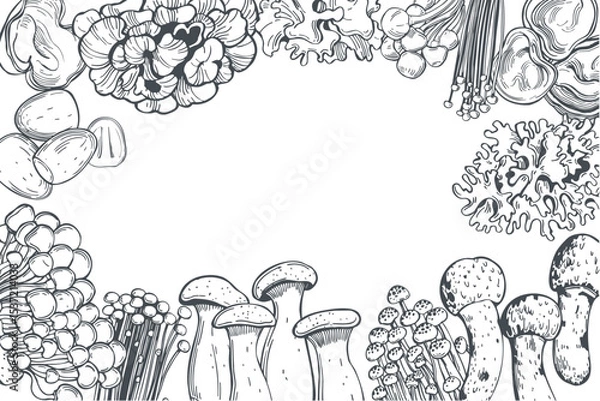 Obraz Hand-drawn edible Mushrooms of Asia. Vector background. Sketch  illustration.