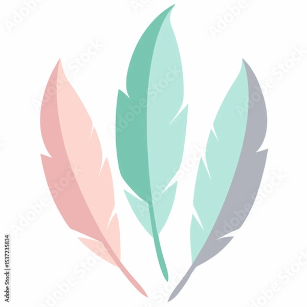 Fototapeta vector illustration of a feather