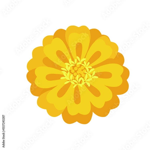 Fototapeta Illustration of a yellow marigold flower isolated on transparent background, png image 
