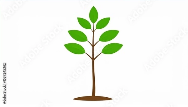 Fototapeta Plant as a vector isolated in white