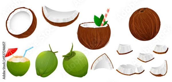 Fototapeta Vector illustration of a coconut set on a white background. Includes whole coconut, coconut pieces, green coconut, and tropical coconut drink in a glass.