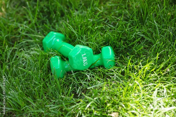 Fototapeta Two green dumbbells with the numbers 1 kg on them are on the grass. The dumbbells are placed on the grass, and they are not being used