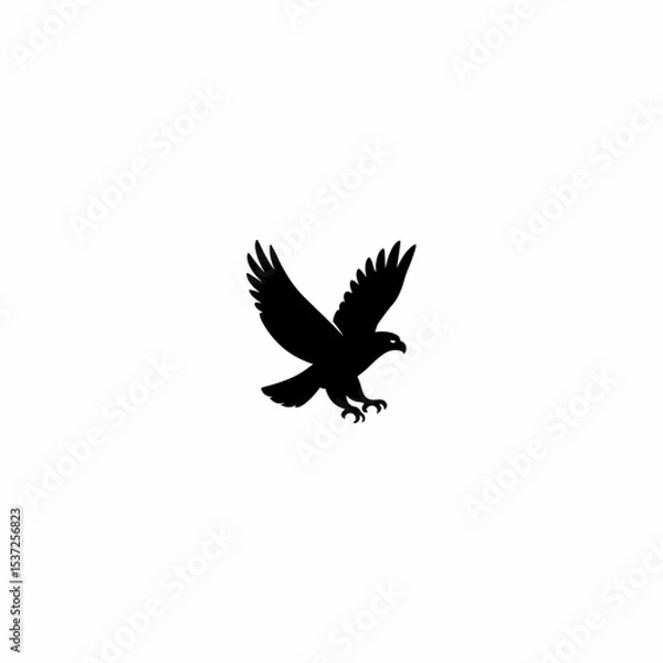 Obraz Egol vector art ঈগল 