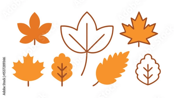 Obraz autumn leaves vector template. nature leaf seaign eliments