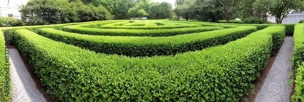 Obraz photo of gorgeous hedge maze with green bushes for walls