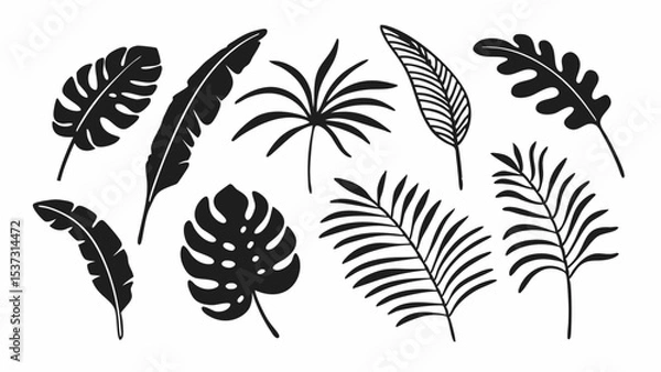 Obraz Palm leaf icon, tropical plant, banana tree, jungle leaves, exotic fern. Cartoon summer foliage, botanical set, simple black silhouettes isolated on white background. Hawaiian vector illustration


