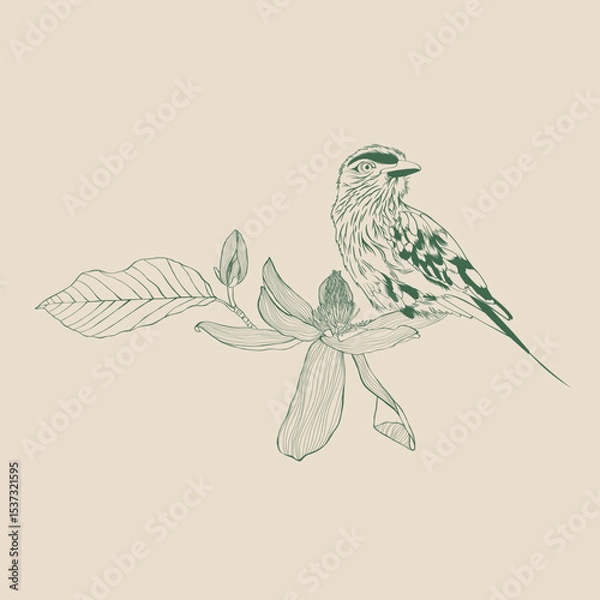 Obraz Lilac breasted Roller bird with magnolia flower. Design element. Line illustration.