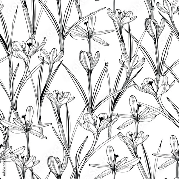 Obraz Seamless floral pattern vector outline. Romantic Crocus delicate flowers will suit print on fabric, Wallpaper, wrapper and design.