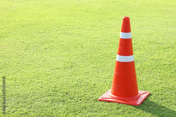 Obraz Traffic cone on green lawn background