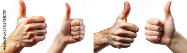 Fototapeta Collection of hands showing thumbs-up gestures, isolated on a transparent background