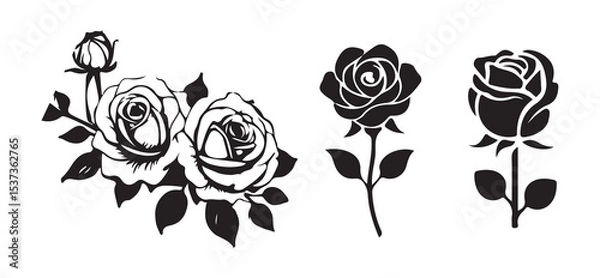 Fototapeta Roses design elements,modern isolated rose flower on a stem with leaves in black and white. vector illustration eps 10.