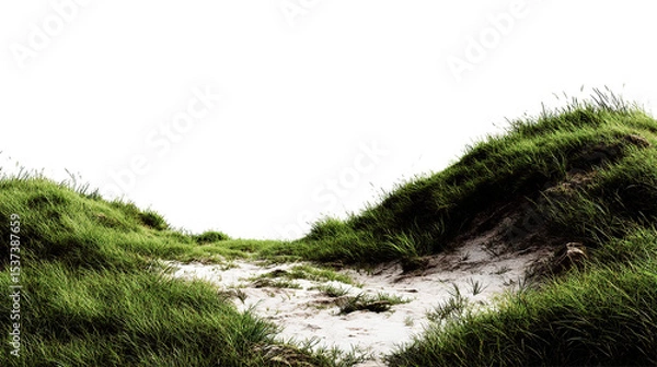 Fototapeta A path through grassy dunes under a dark sky creating a serene and natural landscape view outdoors on transparent background