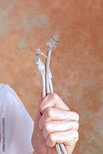 Obraz Female holding internet network cables connectors in her hand