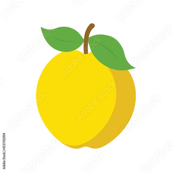Fototapeta Desert quince wild fruit with unique shape and skin flat vector color vector illustration