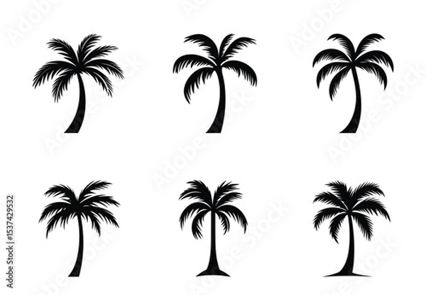 Fototapeta Collection of Beautiful Black and White Palm Tree Illustrations