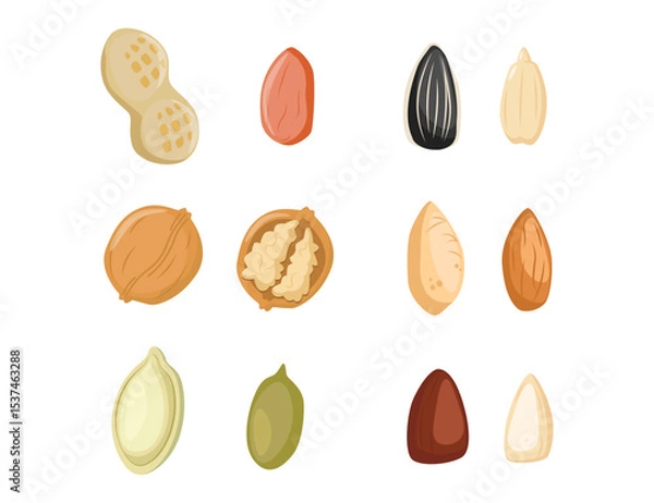 Obraz Nuts icon. Nuts icon set. Pistachio, Almond, Hazelnut, Cashew, Walnut. Vector Illustration. Cartoon seeds. Organic raw