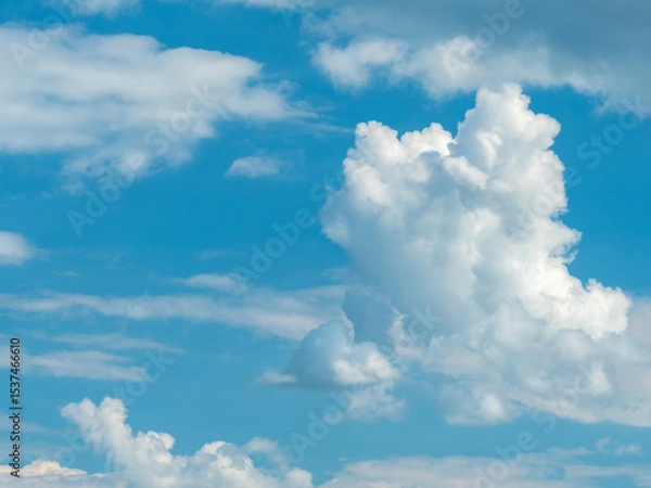 Fototapeta view to sky and huge white cloud with copy space