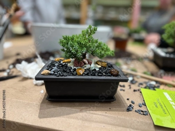 Fototapeta Miniature bonsai trees in handcrafted containers at plant workshop
