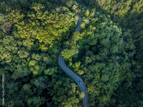 Obraz road in beautiful autumn forest at sunset, trees with green and orange leaves , Top view landscape view from flying drone in Nature