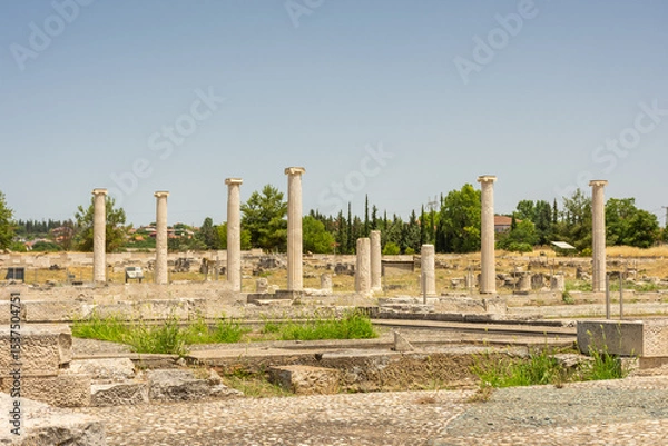 Fototapeta Ancient greek columns in Pella, archaeological site in Macedonia,  birthplace of Alexander the Great, Greece