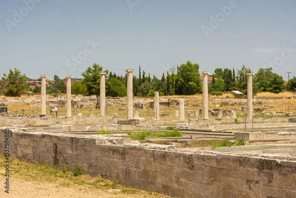 Fototapeta Ancient greek columns in Pella, archaeological site in Macedonia,  birthplace of Alexander the Great, Greece