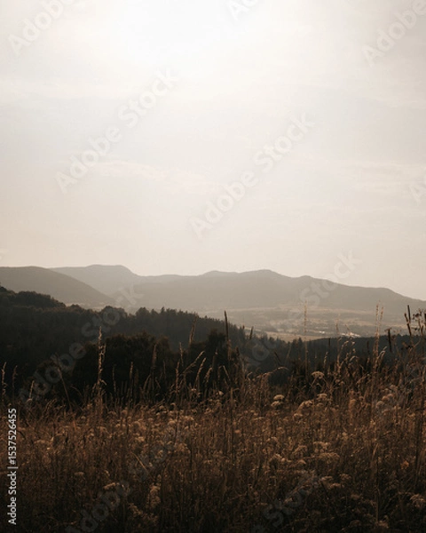 Obraz Panoramic view of the mountains and valley, with the foreground covered with dry, golden grasses and vegetation, on a summer, slightly foggy day
