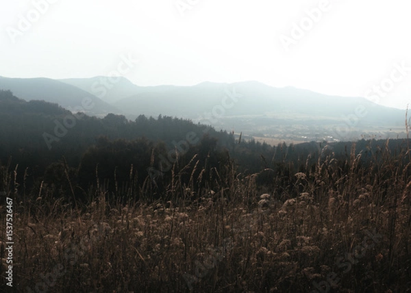 Obraz A wide mountain landscape with foggy peaks in the distance and dry, brown grasses in the foreground, showing summer haze