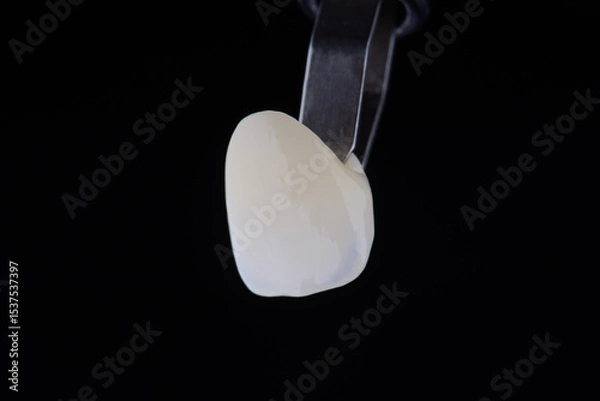 Fototapeta Close up shot ultra thin dental zirconium crown is held with tweezers with black background.