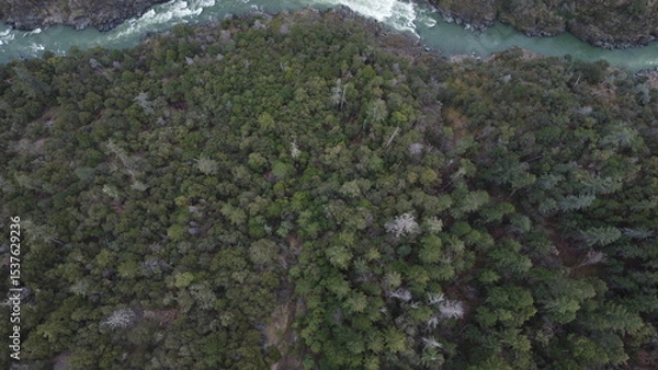 Obraz Raging River Splitting the Forest From Above