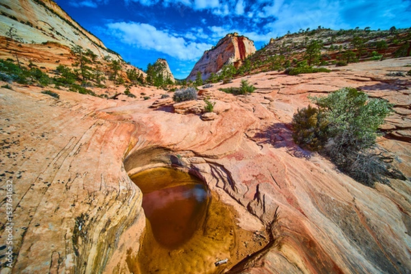 Fototapeta Sandstone Striations and Rock Pool with Desert Vegetation Ground Level
