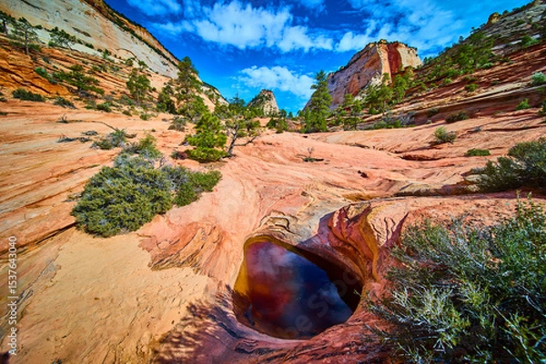 Fototapeta Sandstone Formations Natural Pool and Desert Pines Zion National Park Low Wide