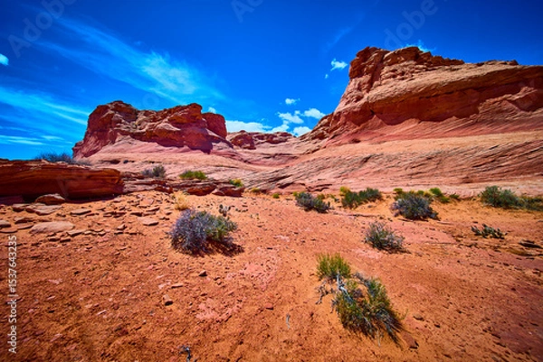 Fototapeta Red Rock Formations and Desert Vegetation Under Blue Sky Ground Level Upward View
