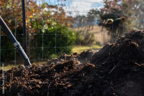 Obraz measuring the temperature of a Compost pile, organic thermophilic compost turning in Tasmania Australia on a farm