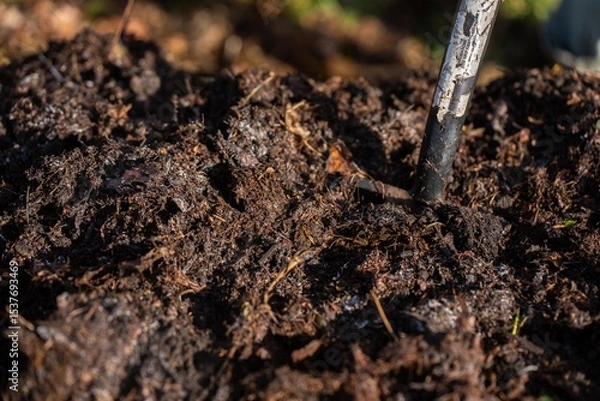 Obraz farmer collecting soil samples in a test tube in a field. Agronomist checking soil carbon and plant health on a farm