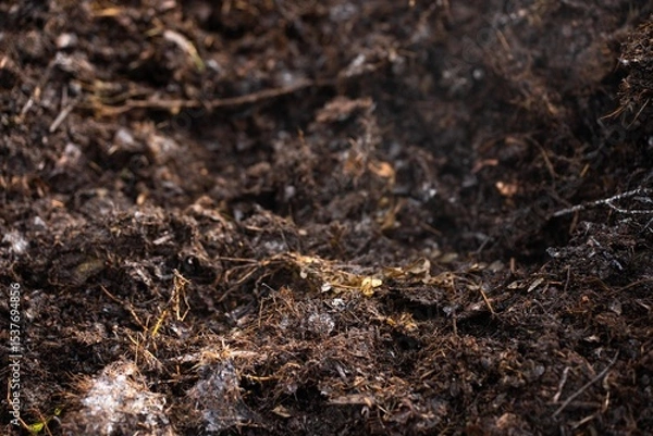 Obraz farmer collecting soil samples in a test tube in a field. Agronomist checking soil carbon and plant health on a farm