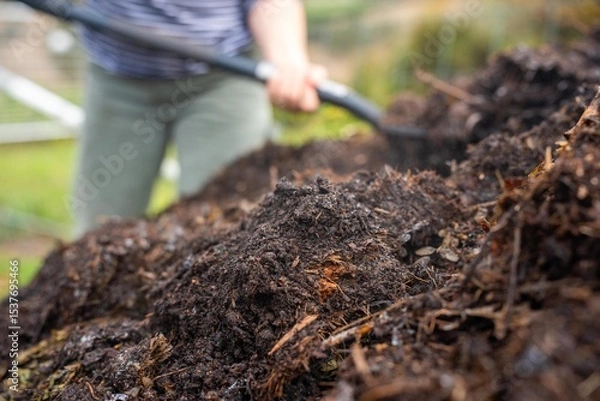 Obraz farmer collecting soil samples in a test tube in a field. Agronomist checking soil carbon and plant health on a farm