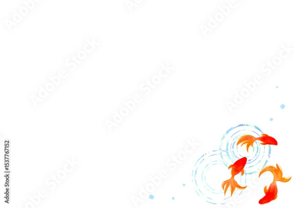 Fototapeta 金魚　夏　水彩　和風　イラスト
