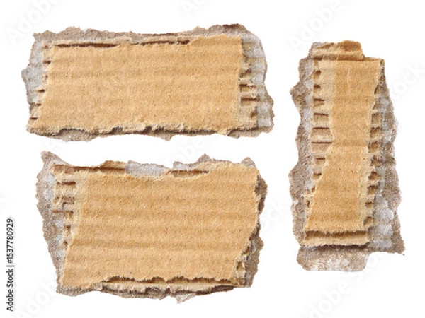 Fototapeta Pieces of torn or cut brown cardboard isolated design element on transparent background.