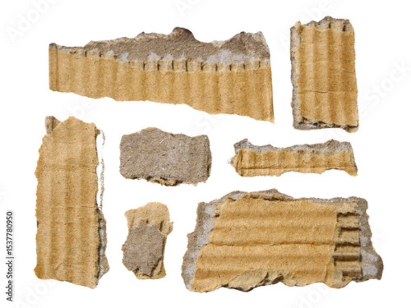 Fototapeta Pieces of torn or cut brown cardboard isolated design element on transparent background.