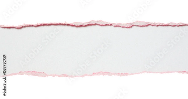 Fototapeta Pieces of torn or cut white cardboard isolated design element on transparent background.