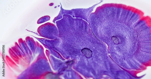 Fototapeta Paint spatter. Liquid splash. Purple red acrylic dye glitter drop on white abstract wet background. Art pigment water defocused blend.