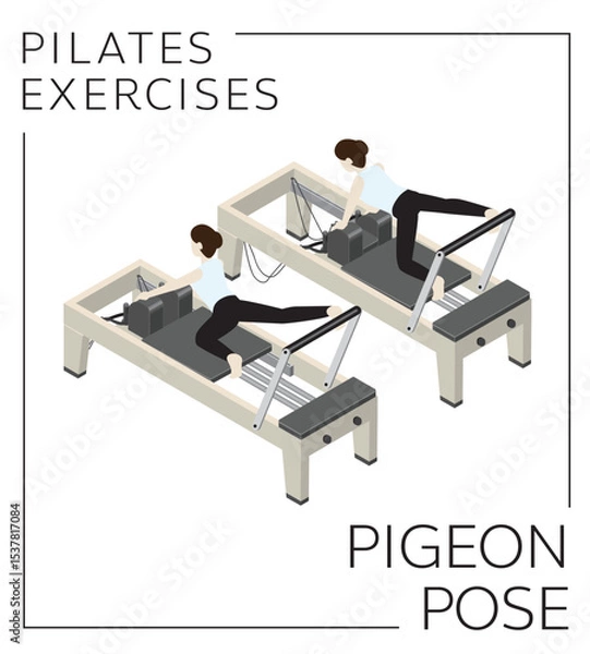 Fototapeta Pilates Exercise Pigeon Pose on the Reformer Vector