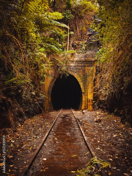 Obraz tunnel in the forest