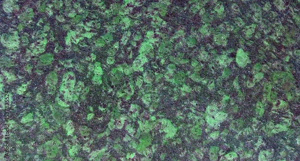 Fototapeta Green leaves on black, surface texture for background